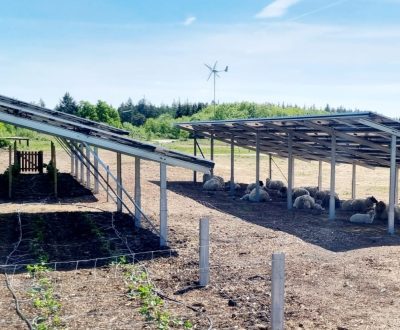 AgriSolar GreenTEC SUNfarming Bild H. Andresen